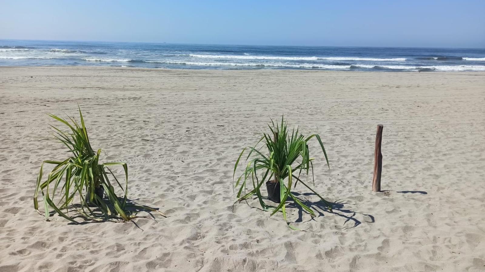 Quinta Diamante Hotel Barra Vieja 외부 사진